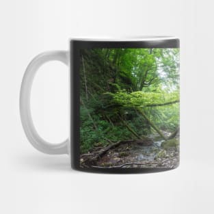 Wild landscape in a canyon Mug